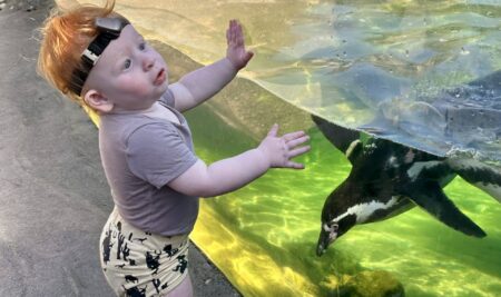 Early Hearing Screening is Key